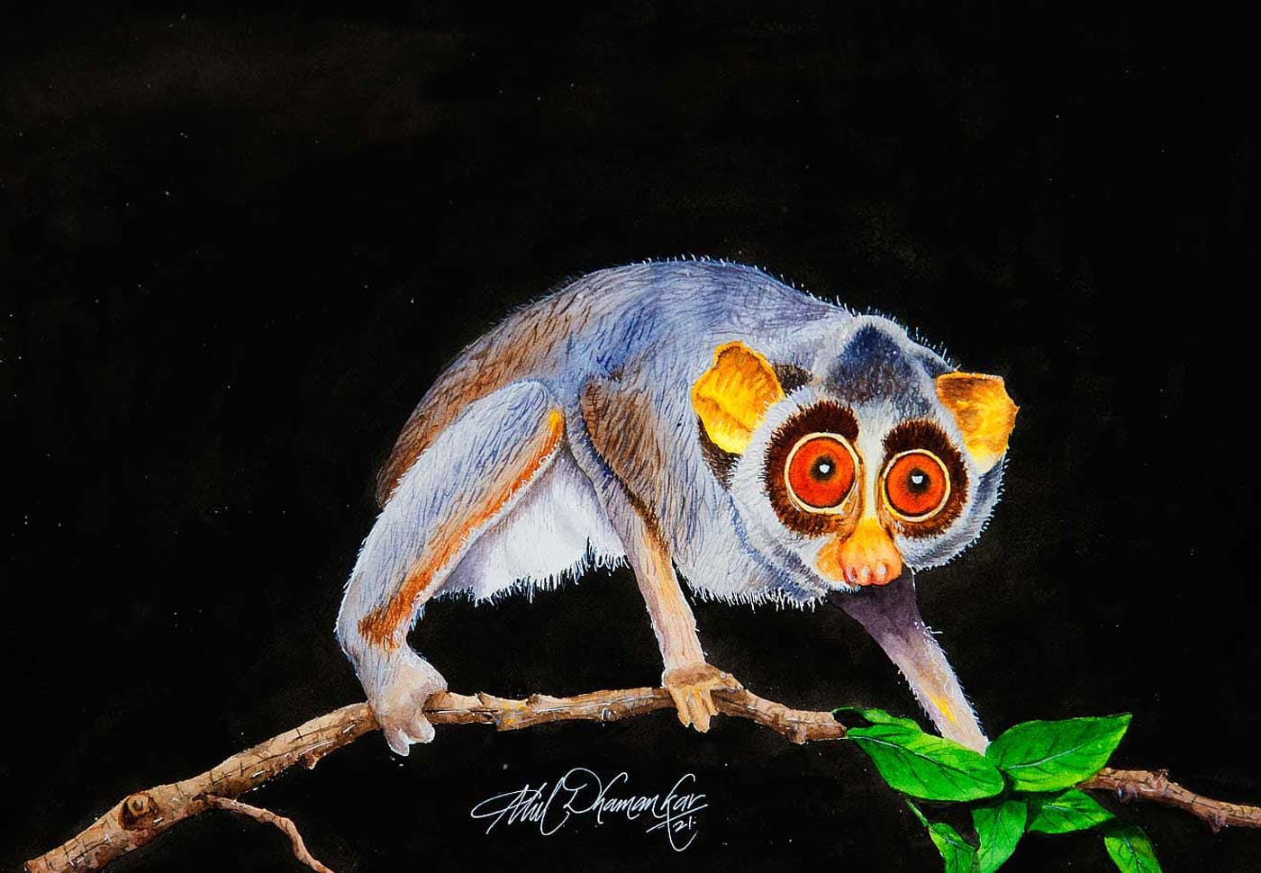 Artwork by Atul Dhamankar