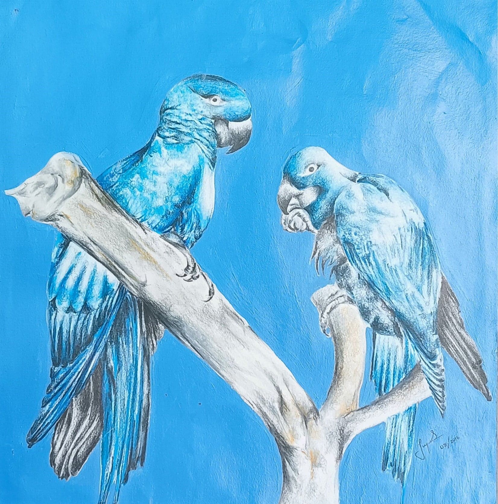 Artwork by Jagriti Singh