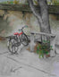 Old Bicycle