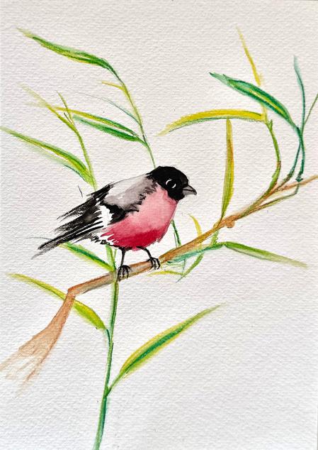 Summer Birds ( Vol 1 )