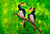 Malabar Hornbill Pair