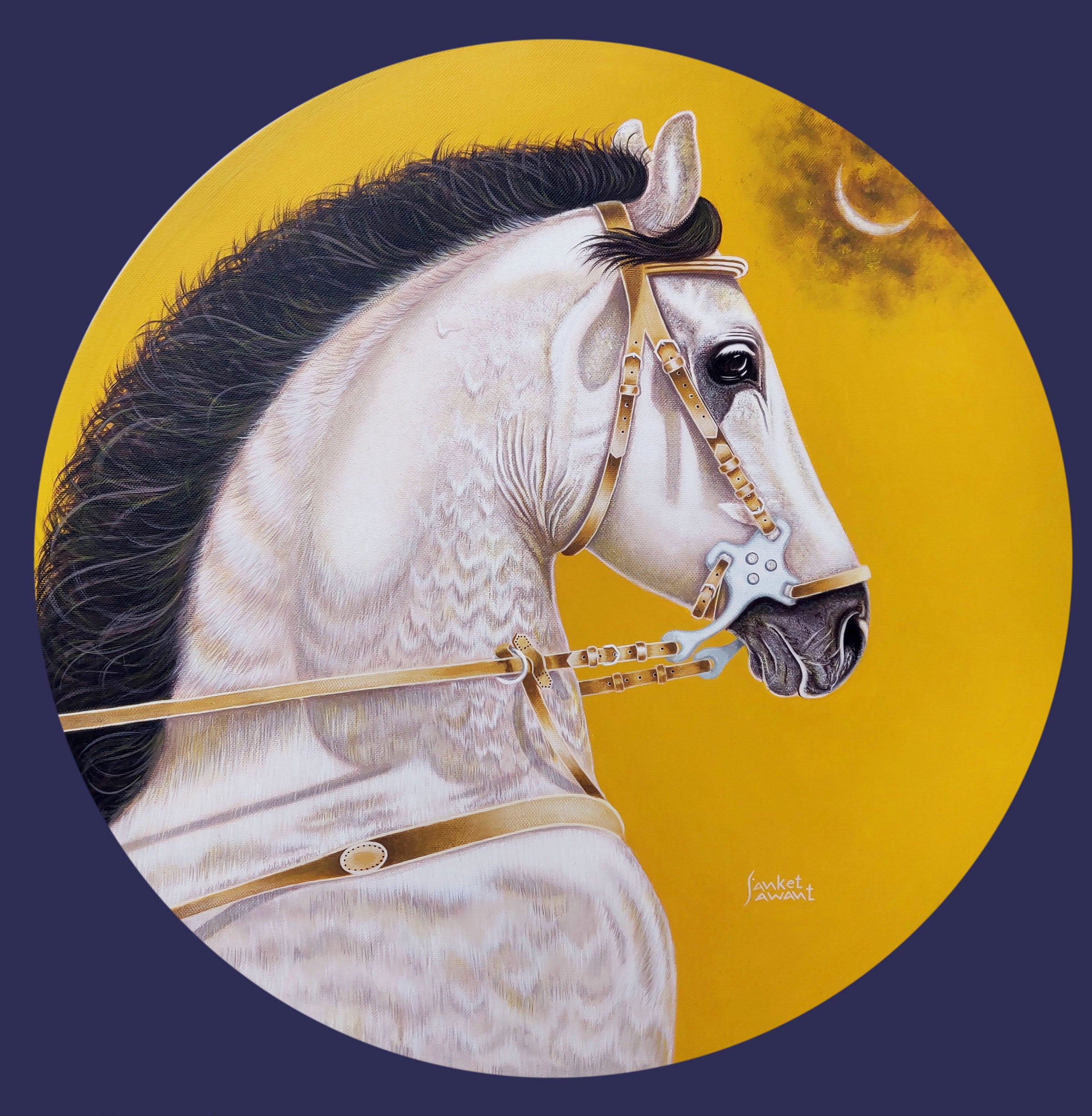 Dream Horse ( Vol 7 )