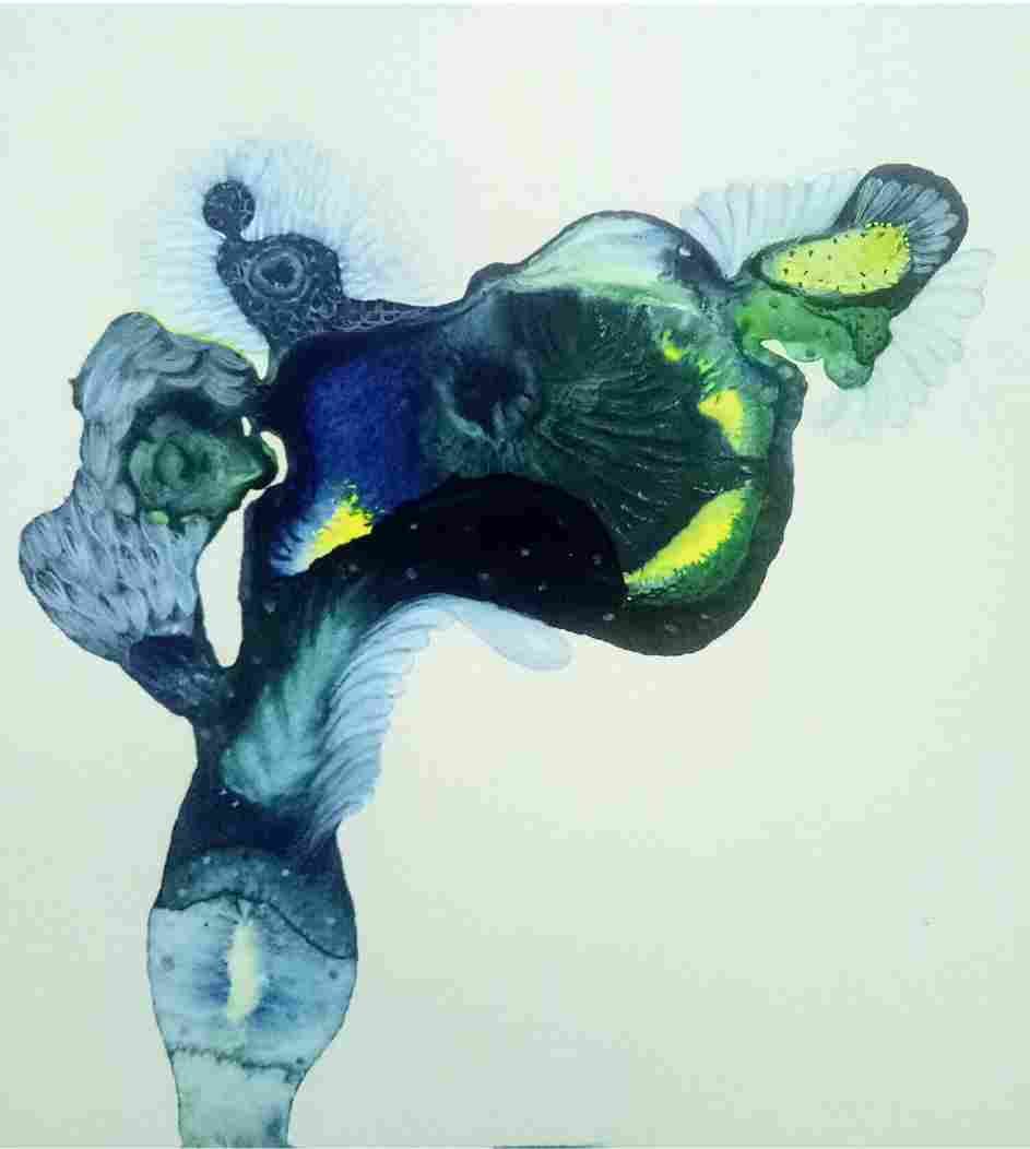 Conception ( Vol 5 )