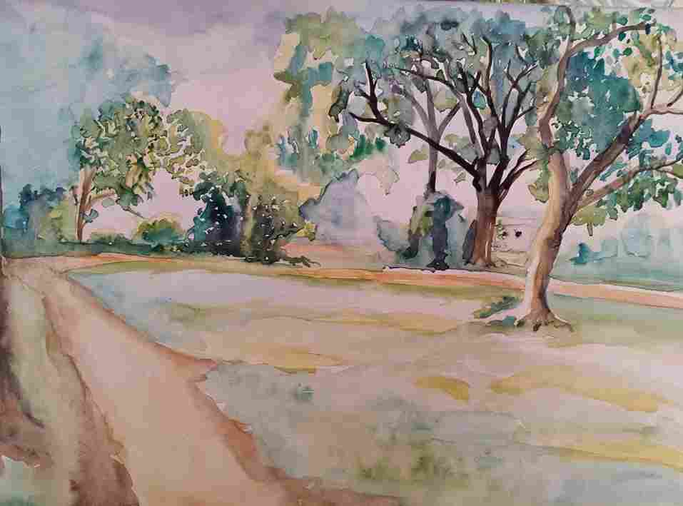 Beautiful Morning in Forest