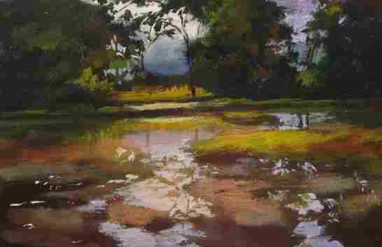 Beautiful Nature ( Vol 1 )