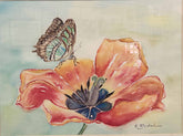 Butterfly on Tulip