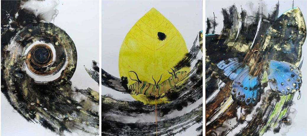 Metamorphosis ( Vol 2 )