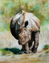 One Horned Rehino