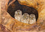 The Three Wise Owlets