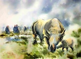 Glimpse of kaziranga ( Vol 1 )