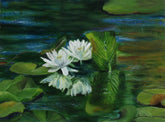 Waterlily (Vol 15)