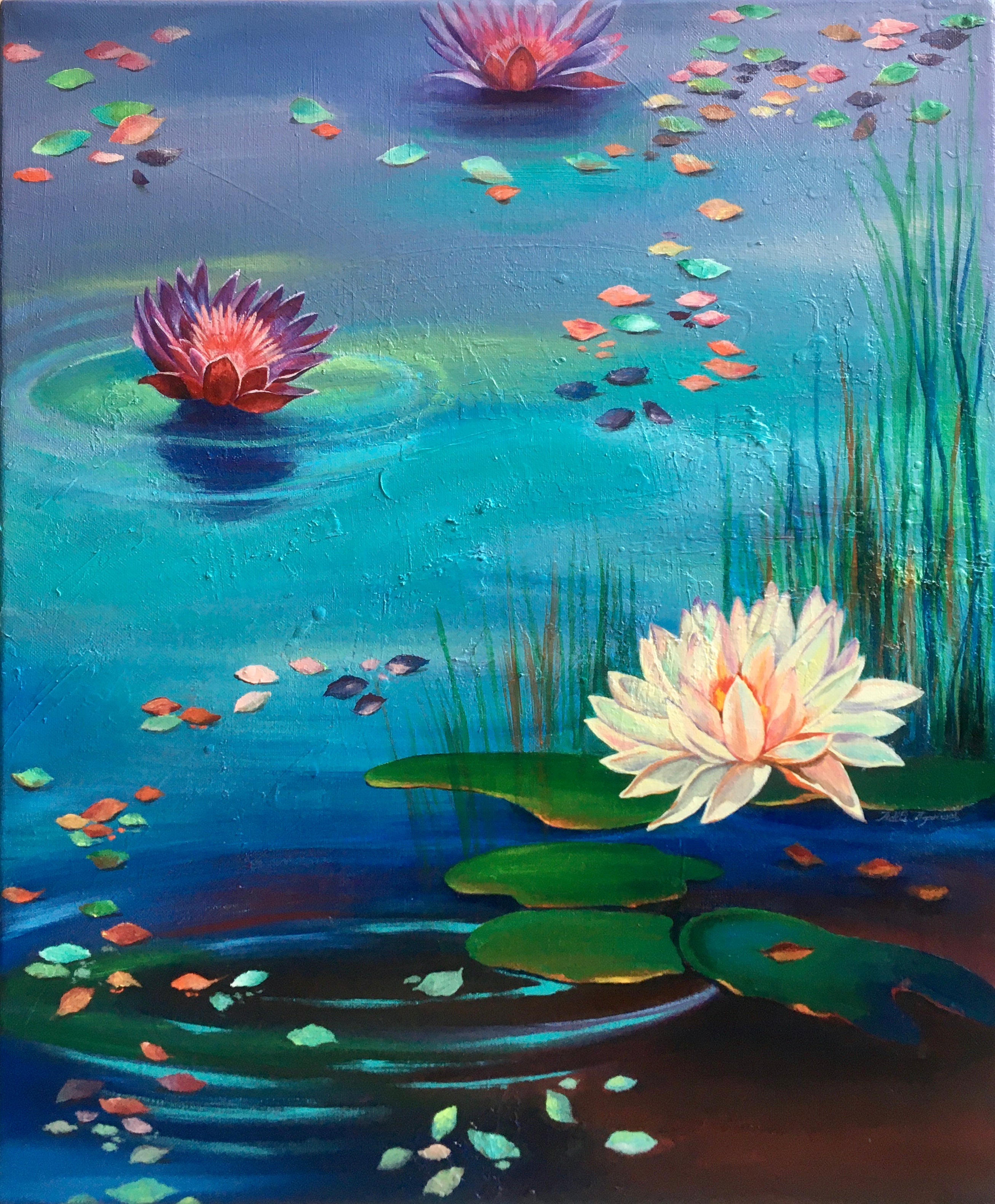 Waterlily ( Vol 1 )