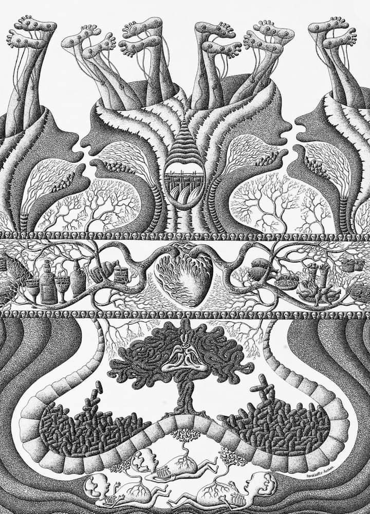 Jettisoned Relationship