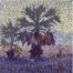 Palm Tree