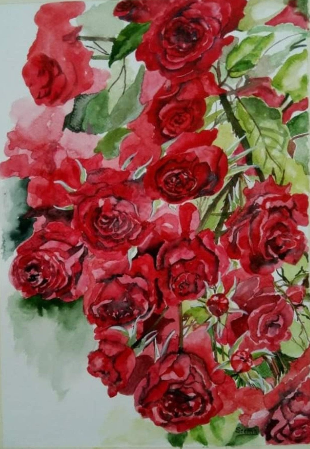 Red Roses