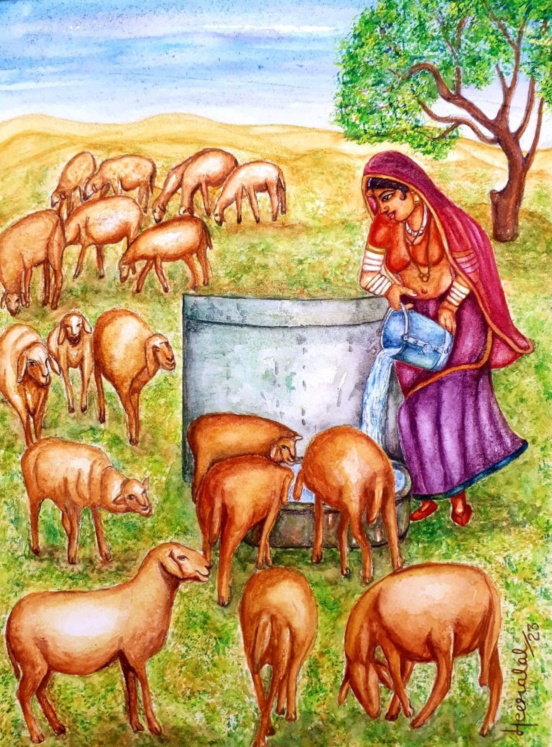 Rajasthani Woman Watering Sheeps