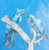 Blue Birds