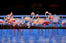 Greater Flamingoes, Evening Splendor