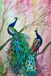 Peacocks Duo ( Vol 1 )