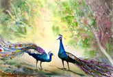 Peacocks Duo ( Vol 2 )