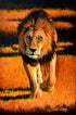 King is on the Move, Oil on mazsonite, 16x20 rs 25000