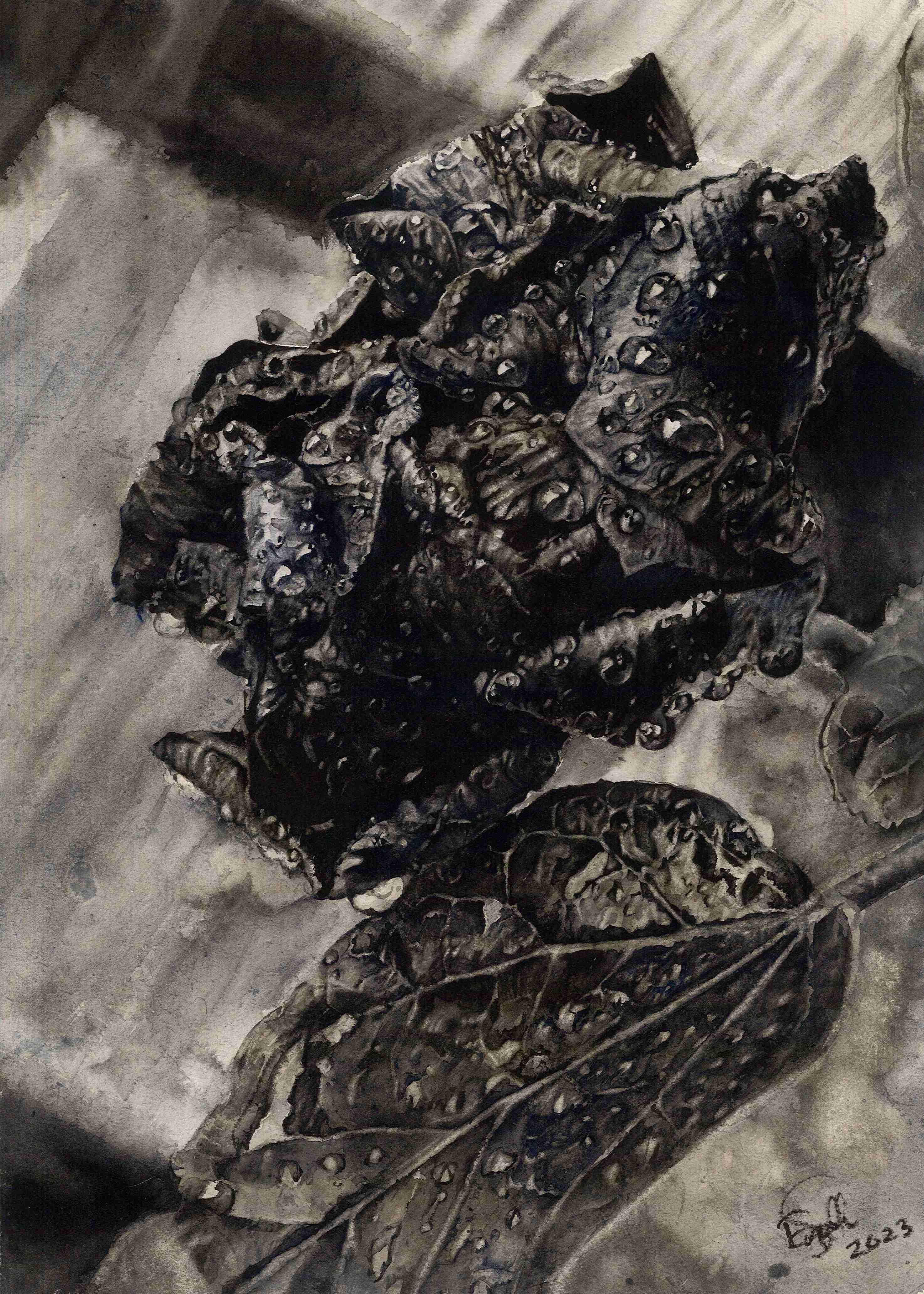 Floral Memory in the Rain