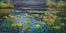 Lotus Pond