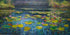 Lotus Pond