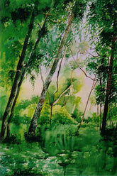 A Forest Landscape