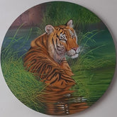 Tiger ( Vol 1 )