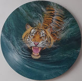 Tiger ( Vol 2 ) -