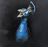 Peacock ( Vol 1 )