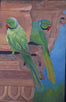 Two Parrots