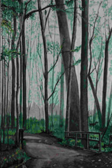 Forest Walkway